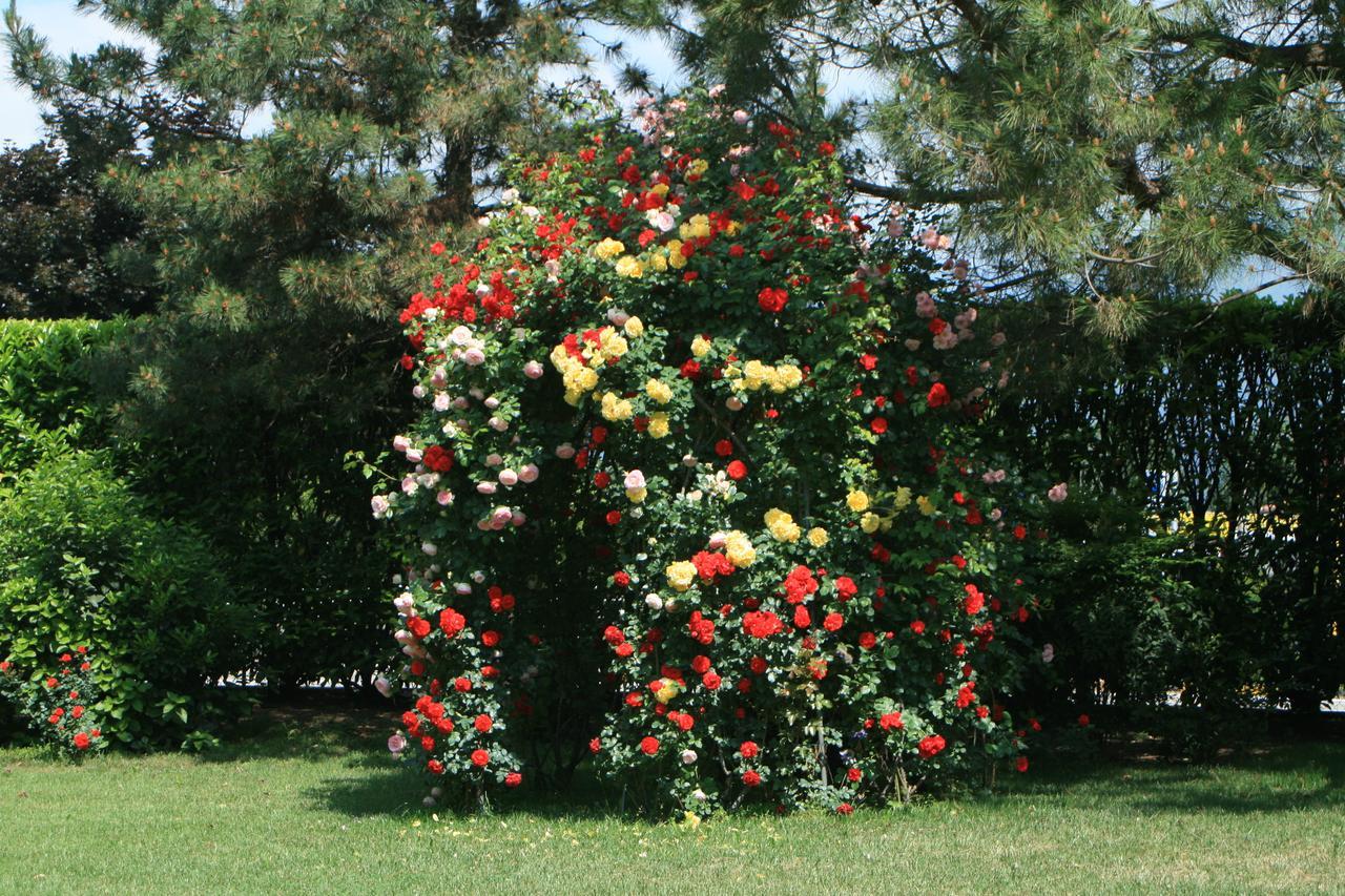 La Corte Dei Galli Country house *